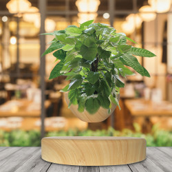 Mini-jardin en lévitation Babylonia aspect bois clair