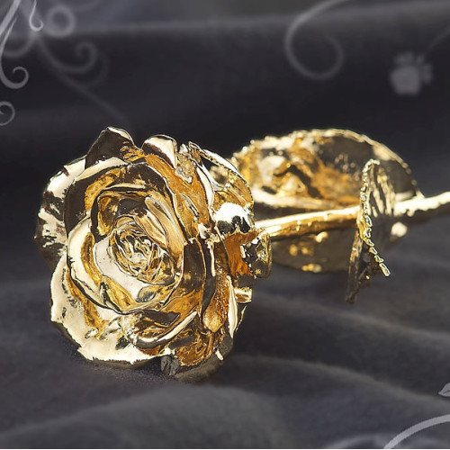 Rose éternelle dorée à l'or...