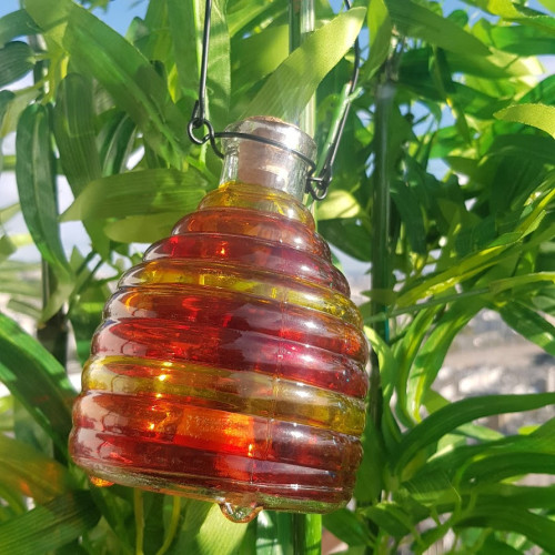 Pièges à guêpes en verre...