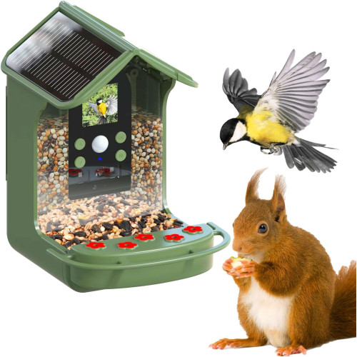 Mangeoire à oiseaux avec...