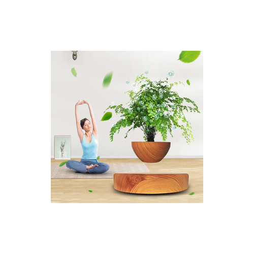 Mini-jardin en lévitation Babylonia aspect bois