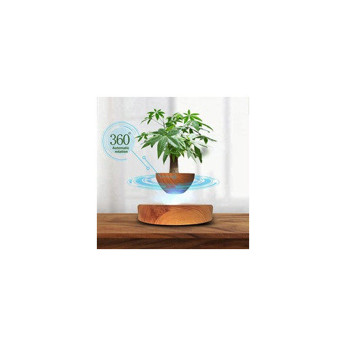 Mini-jardin en lévitation Babylonia aspect bois