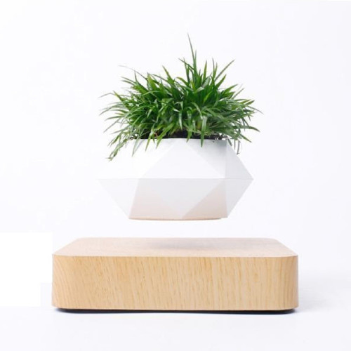 Mini-Jardin Deluxe-4