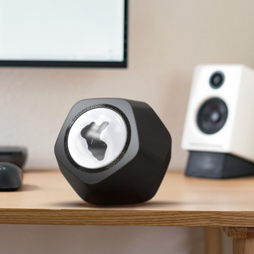 Enceinte sans fil avec...