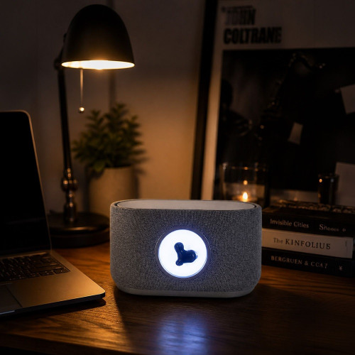 Enceinte sans fil avec...